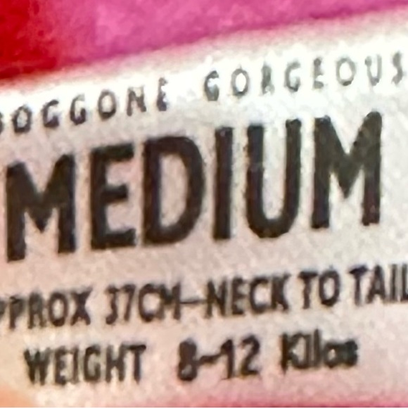 DOGGONE GORGEOUS (DGG) - RED WITH REFLECTOR DOG COAT- Limited Edition - Picture 4 of 6